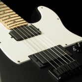 Fender Jim Root Telecaster