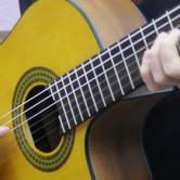 Walden N550CE Electro-Classical Guitar