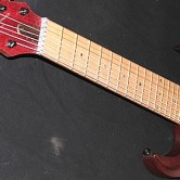 Jaden Rose - Spider - 8 String Guitar Jaden Rose - Spider - 8 String Guitar